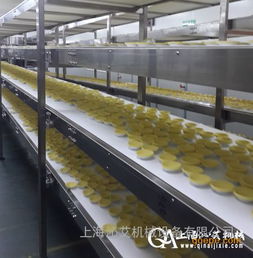 食品级皮带输送机,食品输送机,厂家推荐产品 网带输送机 塑料网带输送和 价格 谷瀑环保