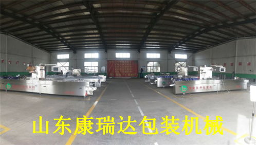 山东康瑞达香脆肠全自动包装机价格解析